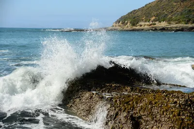 DSC_2643 (Large).JPG